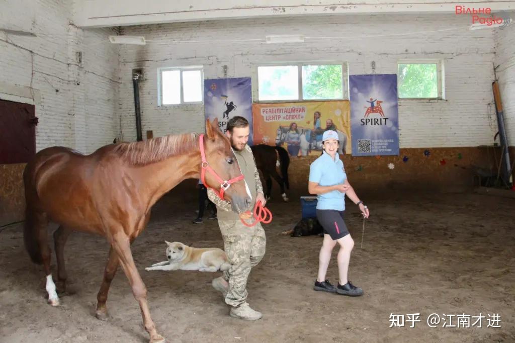 基辅马队大获全胜，登顶马术比赛巅峰