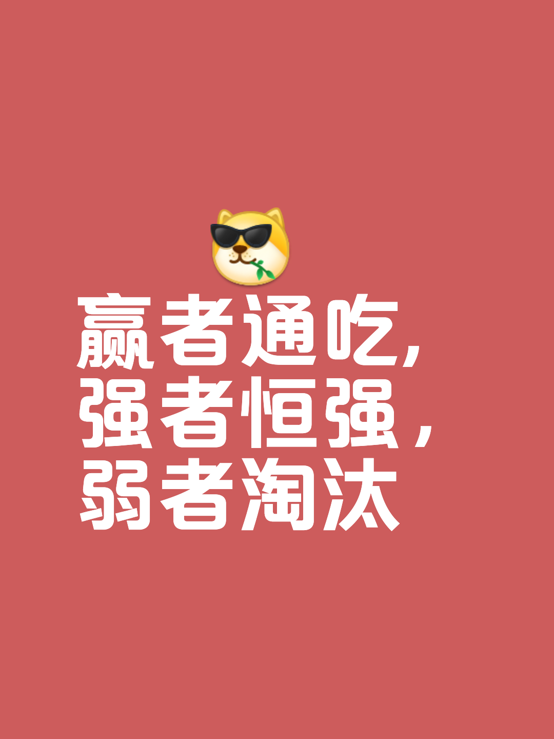 强强对决，精彩战略成就胜利