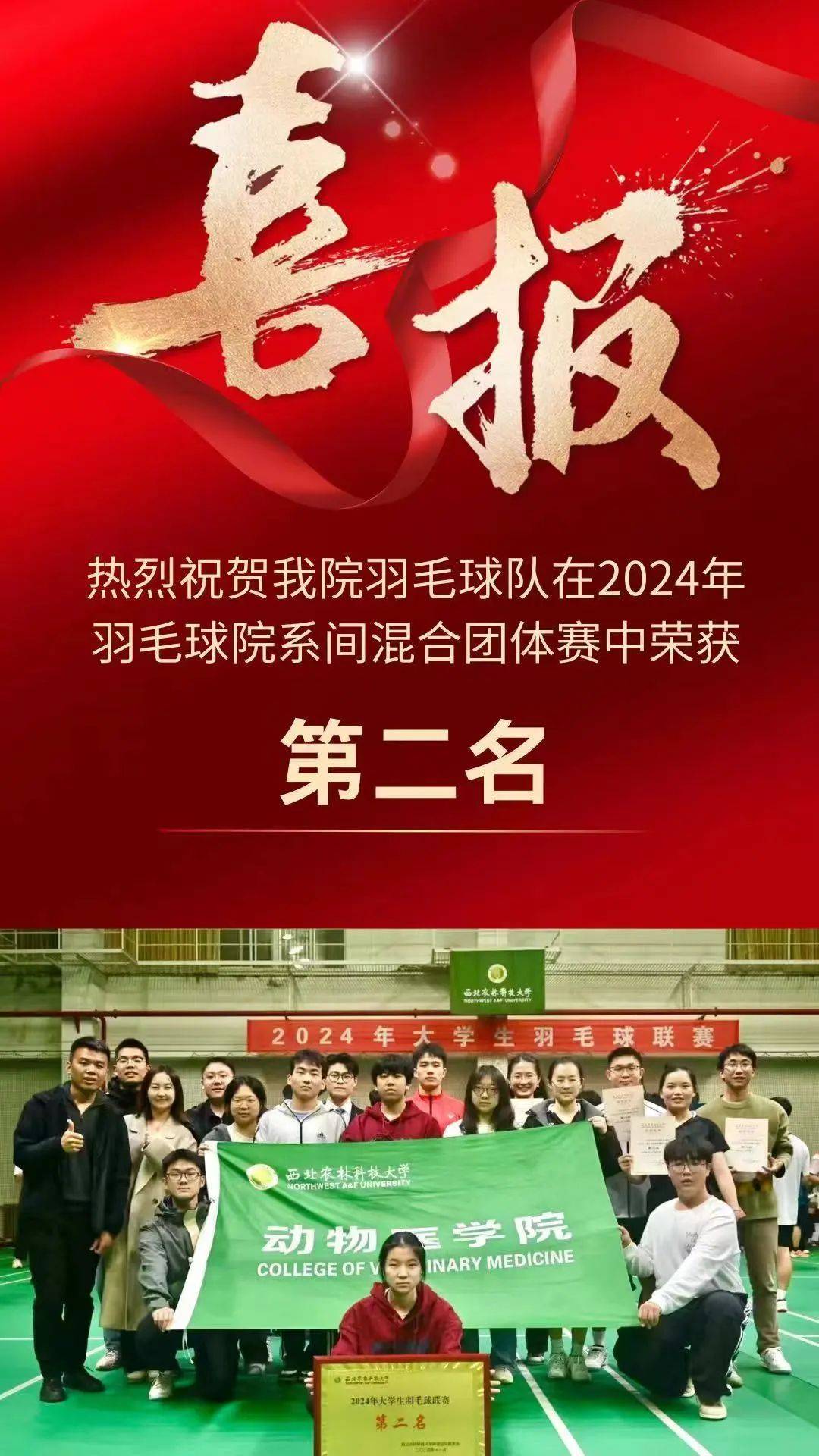 深夜比赛，球队奋力拼搏争取晋级名额